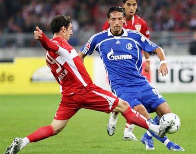 花在空中飘 花在空中飘